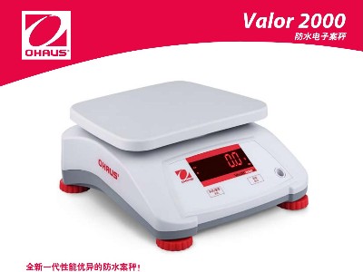 Valor2000防水電子案稱