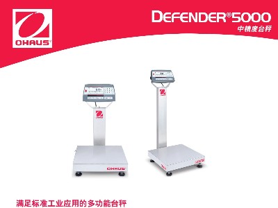 D5000中精度臺稱