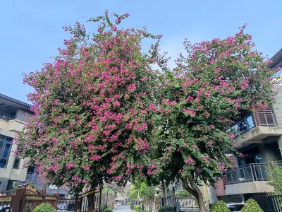 2022年1月份公司溫泉之旅